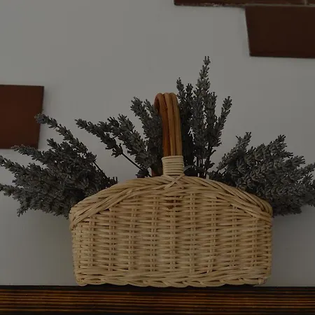 Jelovcerjeva * Idrija pri Baci