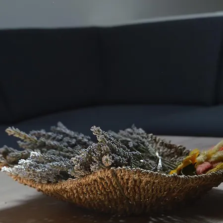 Počitniška hiša Jelovcerjeva *