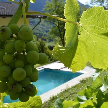 Tatil Evi Jelovcerjeva *