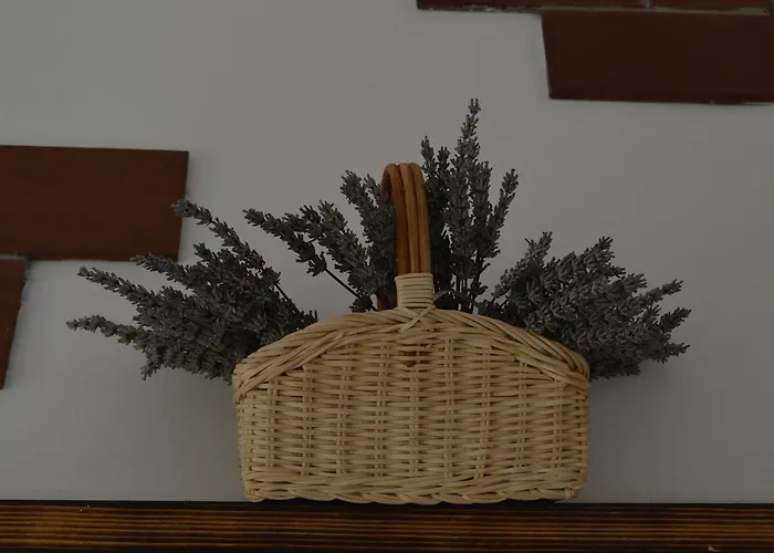 Holiday Jelovcerjeva * Idrija pri Baci