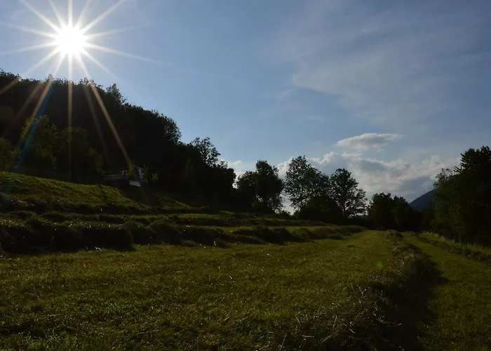 Holiday Jelovcerjeva