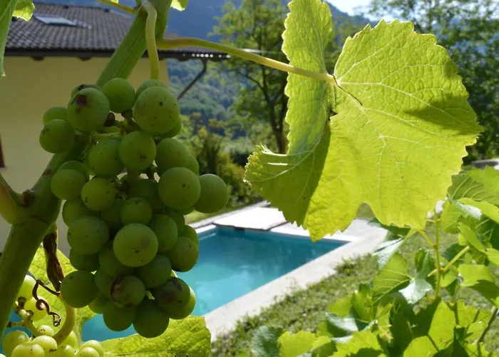 بيت للعطل Holiday Jelovcerjeva *